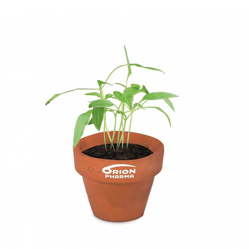 Mini pot en terre avec graines - image 3